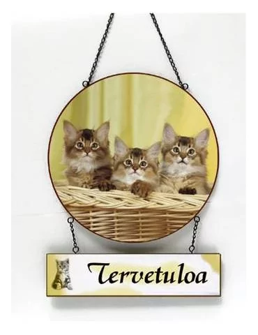 Tervetuloa -kyltti kissat