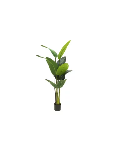 Kolibrikukka 150 cm 4Living