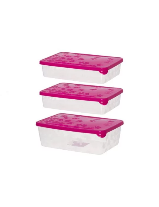 Pakasterasiat 2x0,9 l ja 1,35 l Marjukka