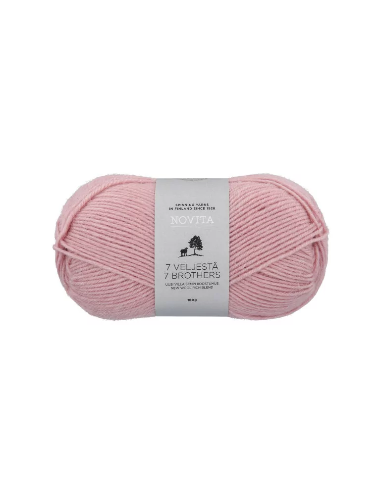 7 Veljestä 100g 053 marjapuuro Novita