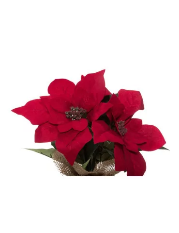 Joulutähti 3-kukan 25 cm punainen Winteria 2