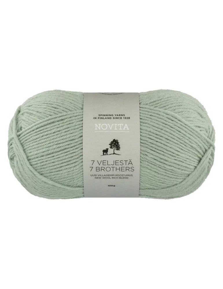 7 Veljestä 100g 305 kaaliperhonen Novita