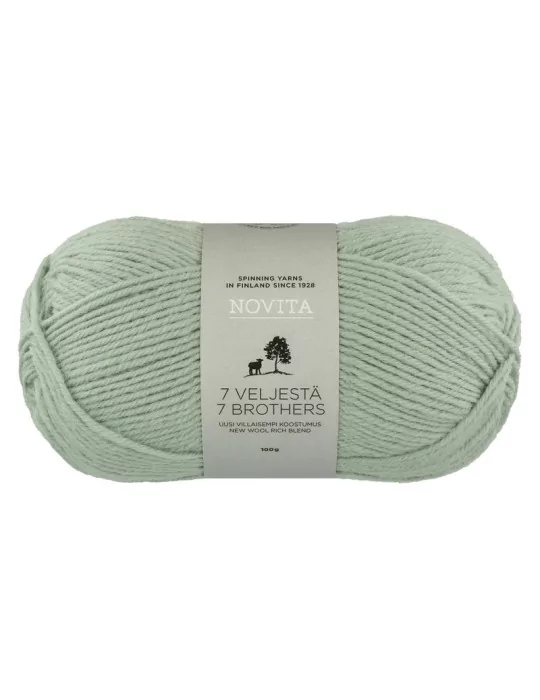 7 Veljestä 100g 305 kaaliperhonen Novita